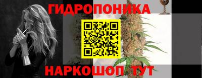 стаф Донской