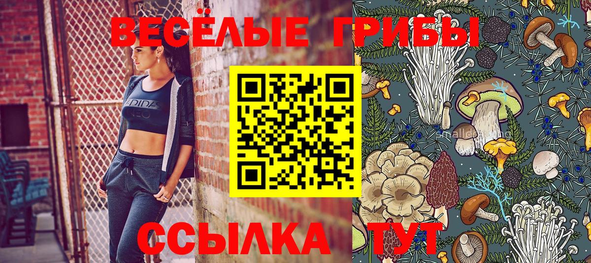 Псилоцибиновые грибы GOLDEN TEACHER  Вход с VPN  Минеральные Воды 